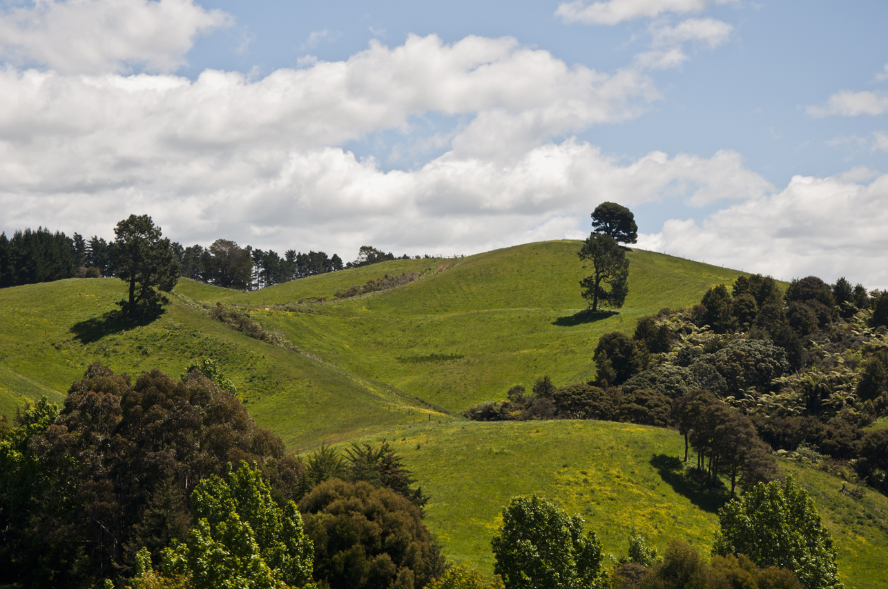 New Zealand