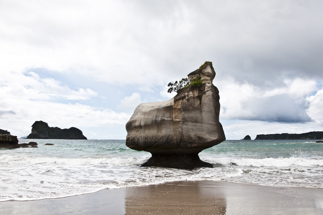 New Zealand