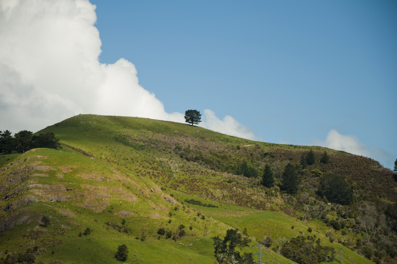 New Zealand