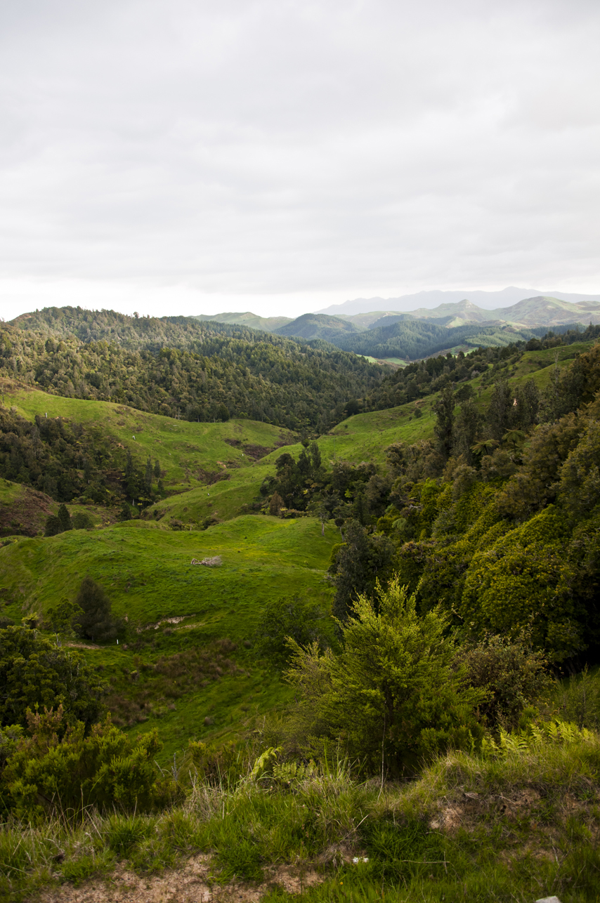 New Zealand