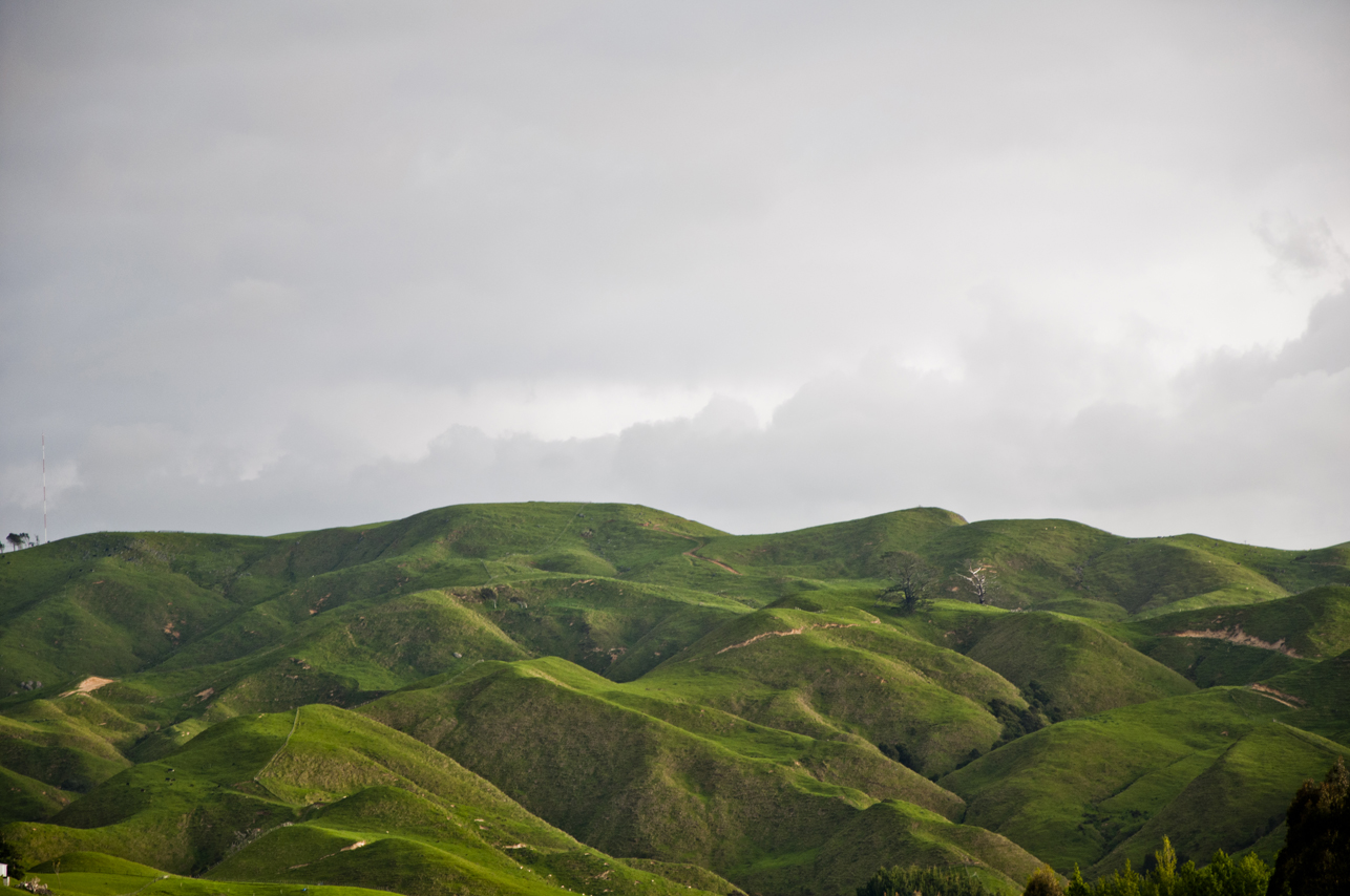 New Zealand