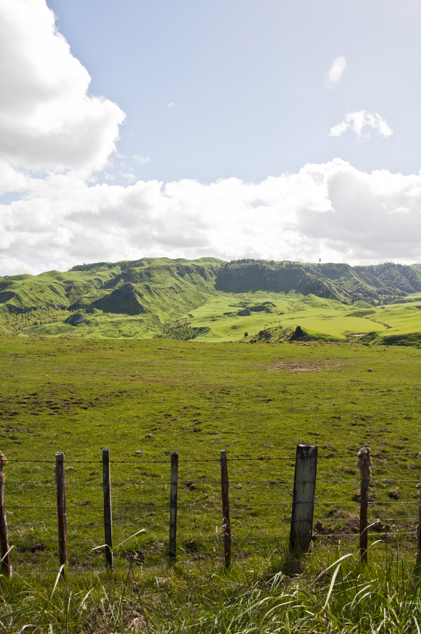 New Zealand