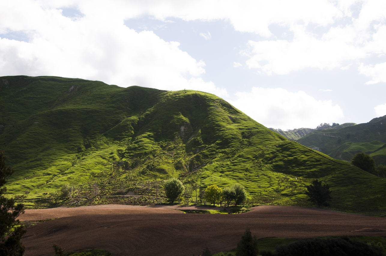 New Zealand