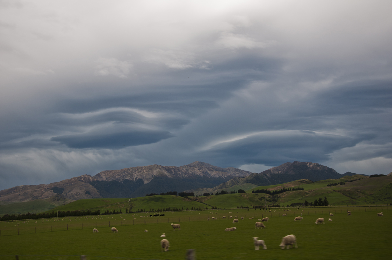 New Zealand