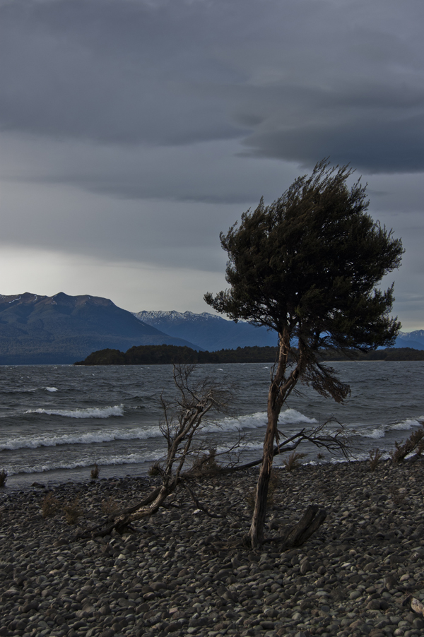 New Zealand