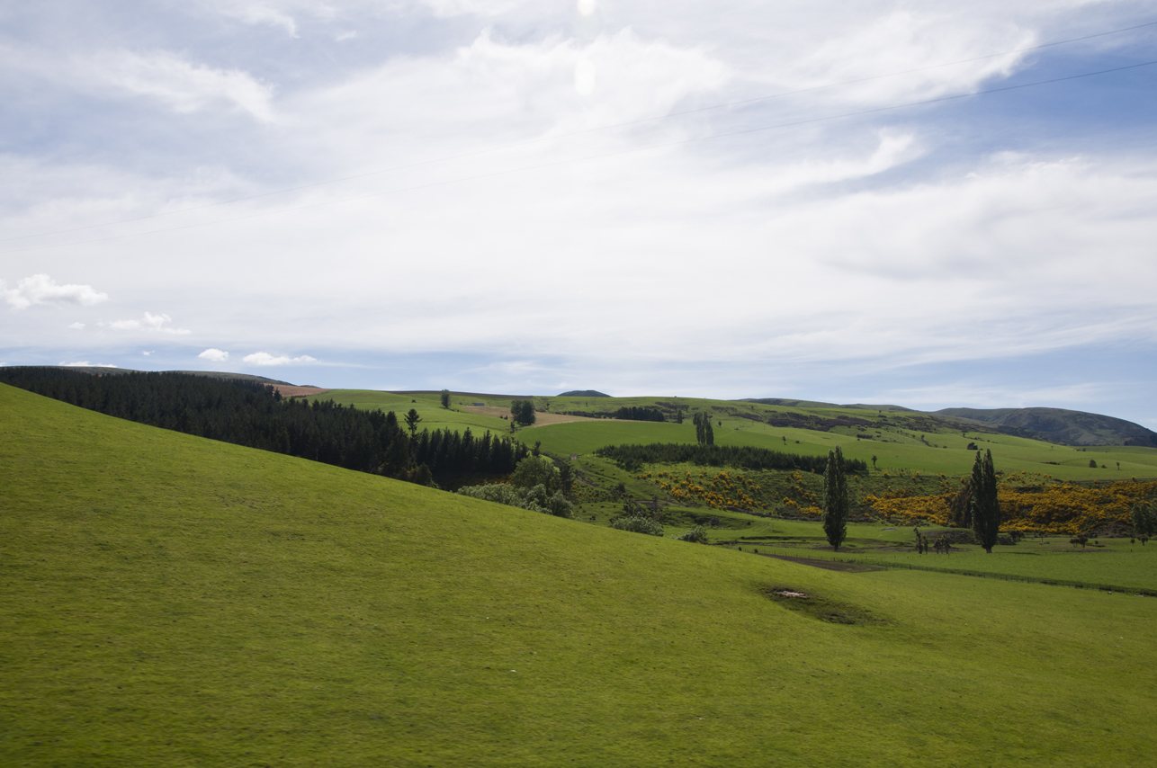 New Zealand