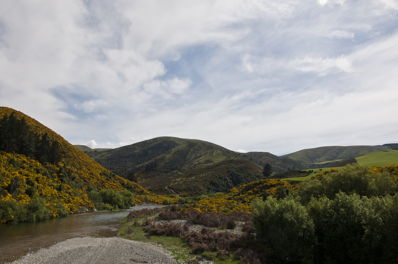 New Zealand